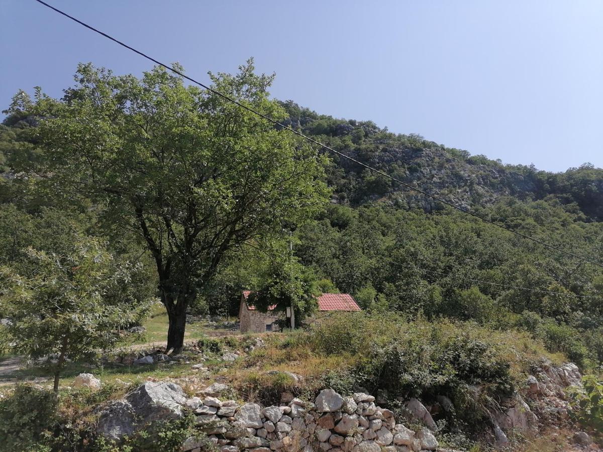 Perosevic Danilovgrad